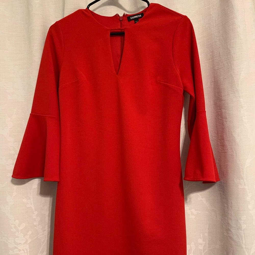 Express Dress - Picture 3 of 5